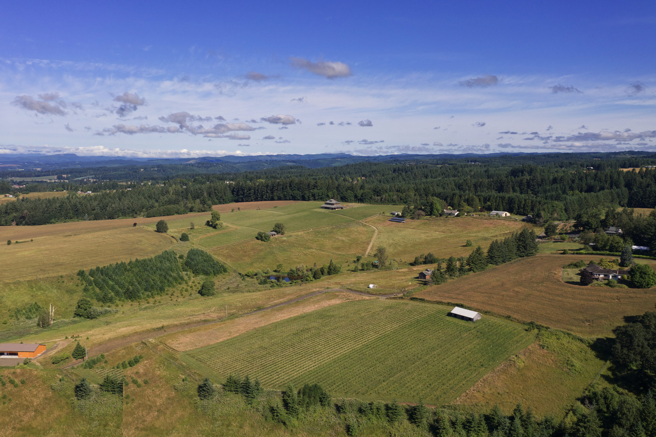 DJI_0421
