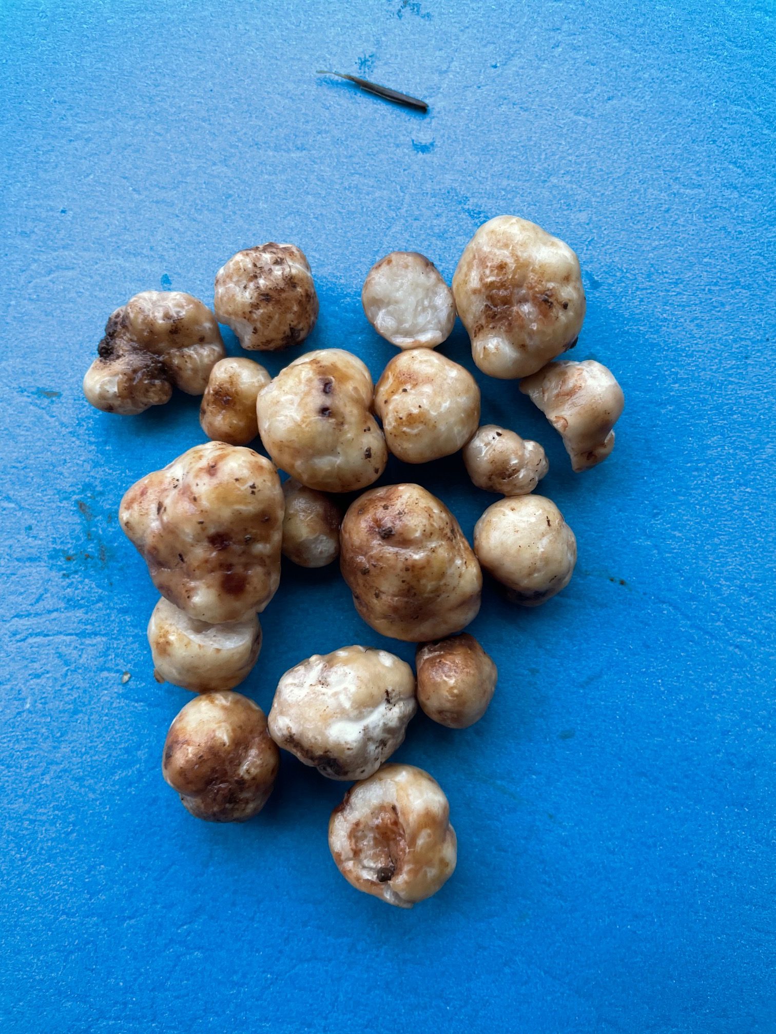 truffles
